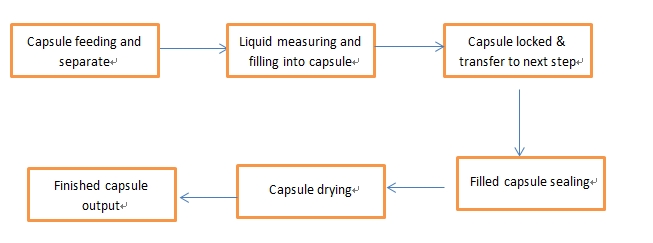 liquid capsule filling machine working process